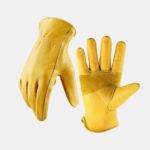 Gants jaunes sur fond blanc.